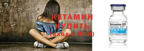 прущие грибы Горно-Алтайск