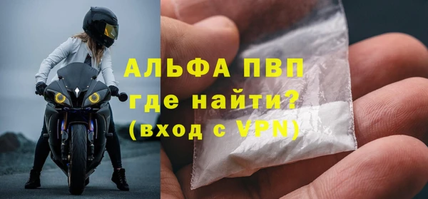 ECSTASY Горняк