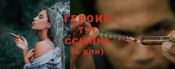 прущие грибы Горно-Алтайск