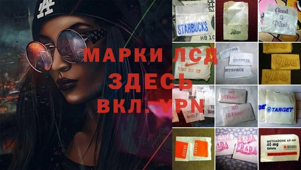 кокс Дмитровск