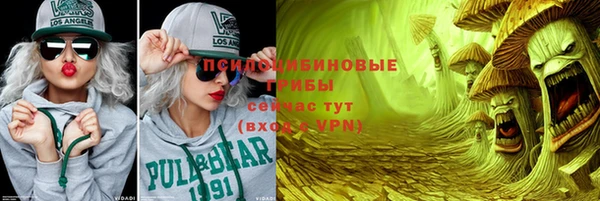 тгк Горнозаводск