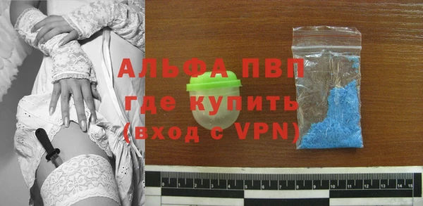 прущие грибы Горно-Алтайск