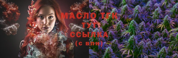 тгк Горнозаводск