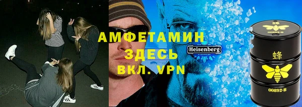 прущие грибы Горно-Алтайск