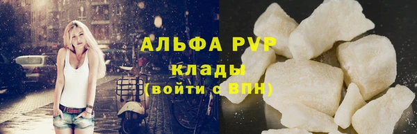 прущие грибы Горно-Алтайск